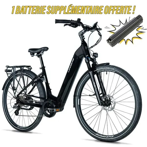 Elektrische fiets Leader Fox Saga
