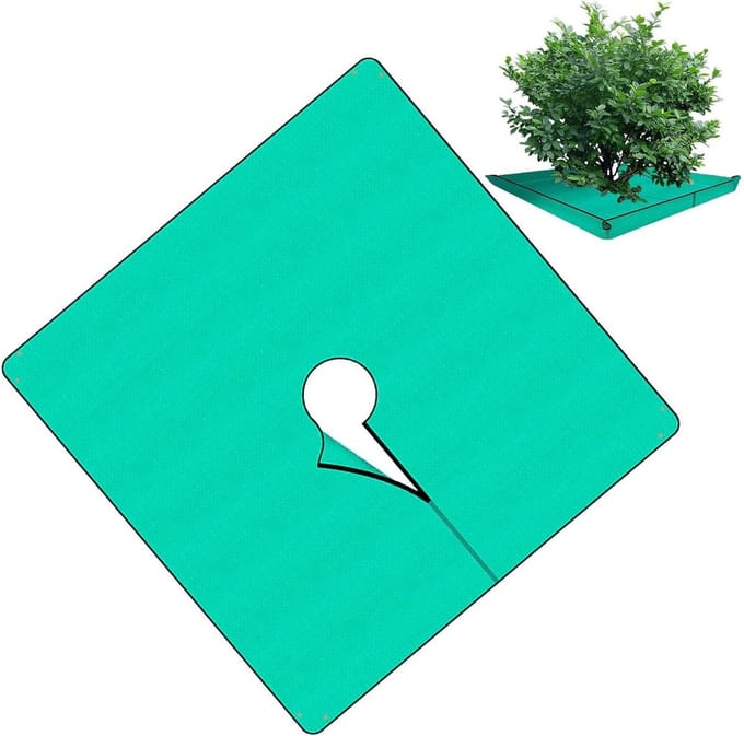 Landschapsafdekzeil - Tuingrond afdekking - Tuinonderhoud - Scheurbestendig - 201 x 201 cm - A