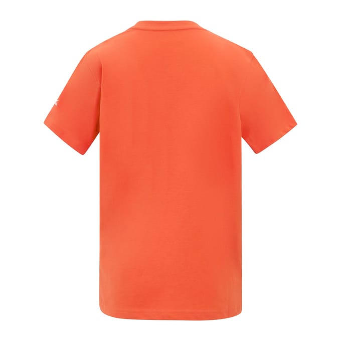 Regatta Kinderen Bosley Palmboom T-Shirt (Roestig Oranje)