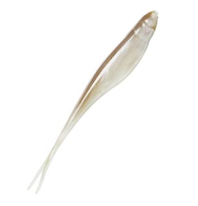 Zman Zachte Kunstaas StreakZ 3,75 Inch 6/Pack Shiner (8637)