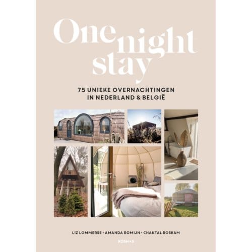 One Night Stay - Liz Lommerse