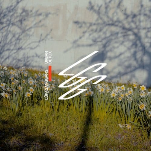 Urban Detox Ep - Lupaganggang