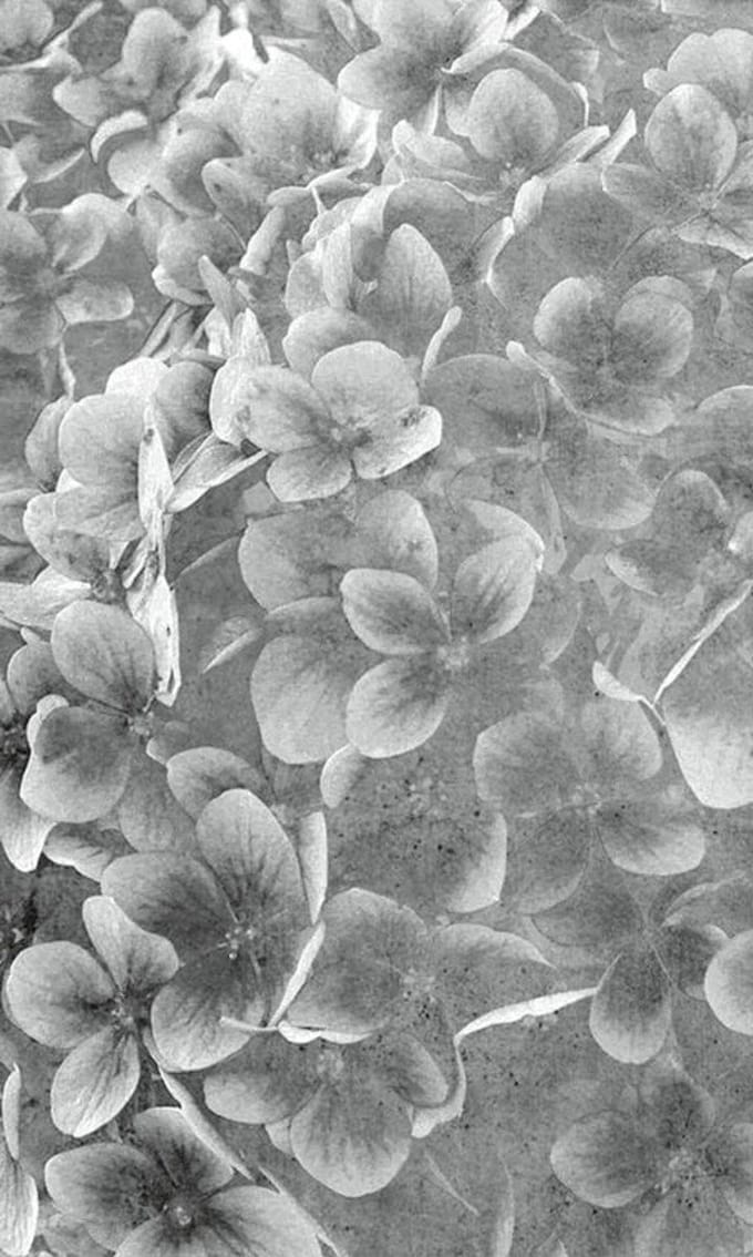 Fotobehang - Apple Tree Abstract III 150x250cm - Vliesbehang