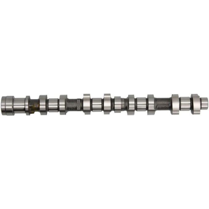Nokkenas  AE CAM959