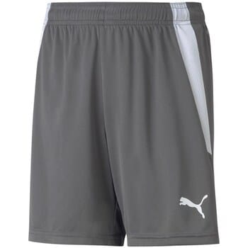 Puma Teamliga Short Kinderen - Grijs | Maat: 128