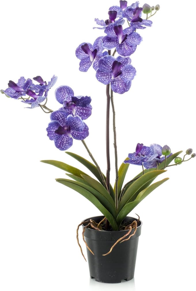 Emerald - Kunstplant Vanda in pot paars 60cm - Kunstplant voor binnen