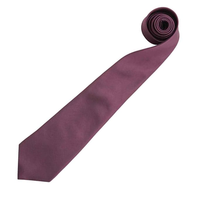 Premier Mannen “Kleuren” Effen Mode / Zakelijke Stropdas (Paars)