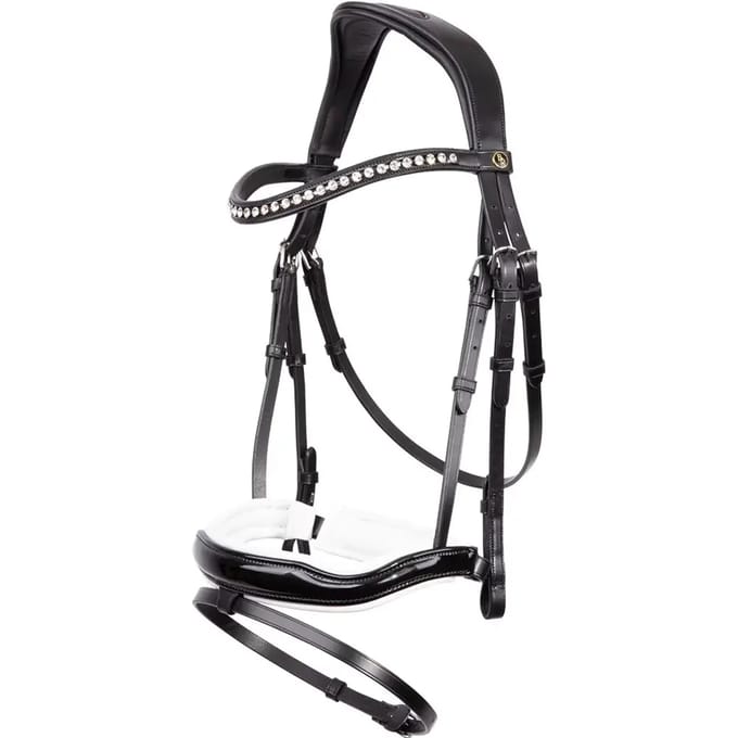 Anatomische hoofdstellen BR Equitation Bolton