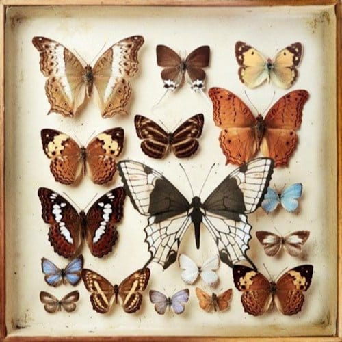 Emiliana Torrini - Rarities (2 CD)