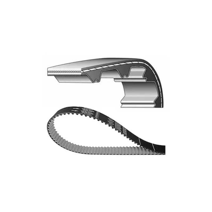Motorriem Dayco Multistrada V2 [937]