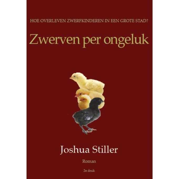 Zwerven Per Ongeluk - Joshua Stiller