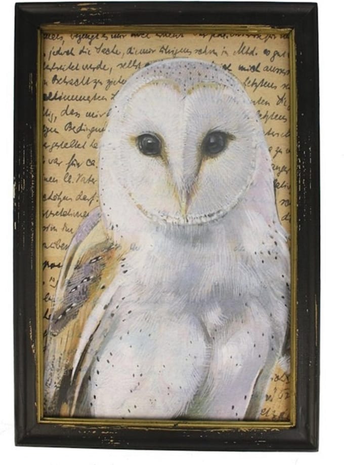 Lijstje hout zwart Uil wit, 34x23,5cm