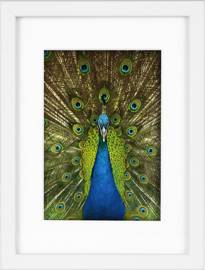 Goldbuch - Fotolijst Pino - Wit - 9x13 cm (13x18 cm)