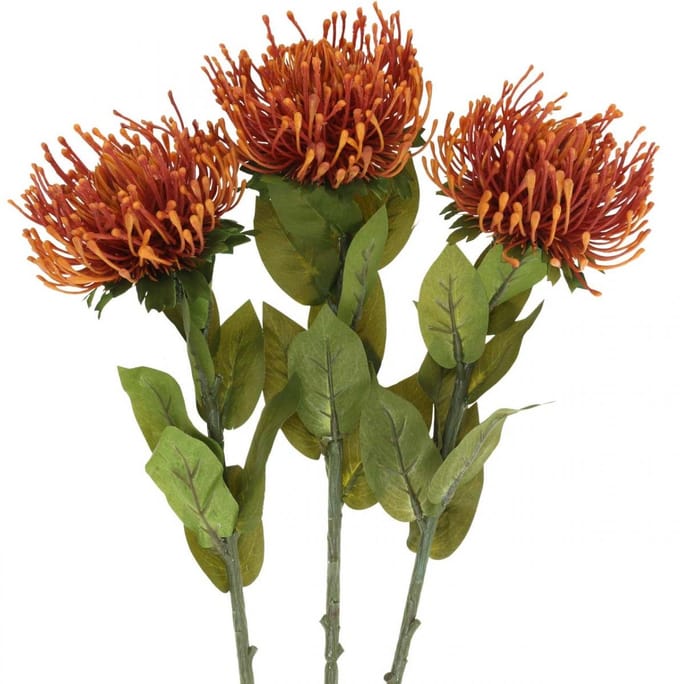 Speldenkussen Exotische Kunstbloem Oranje Leucospermum Protea 73cm 3st