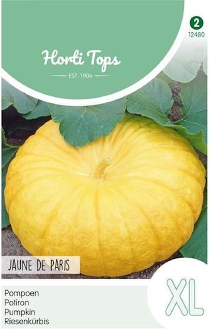 Hortitops Zaden - Pompoenen Geelvlezige (Centenaars)