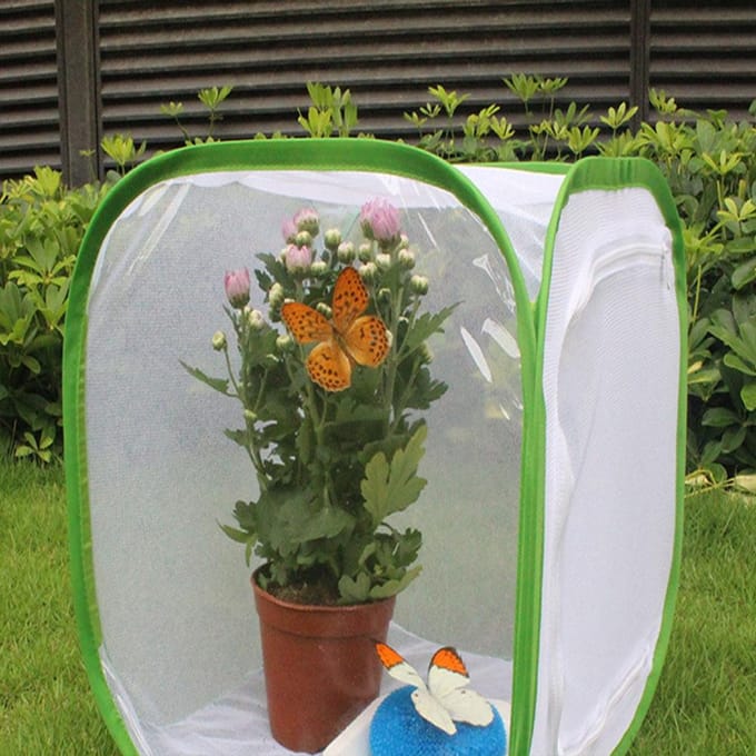 Opvouwbare Inklapbare Geventileerde Insectenkooi Lichtdoorlatende Mesh Kooi Rits Plantenhuis