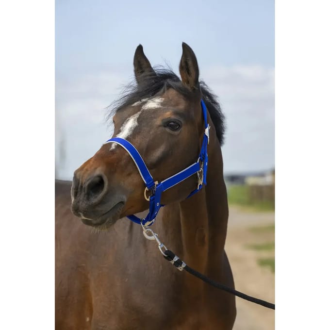 Nylon paardenhalster Equithème light