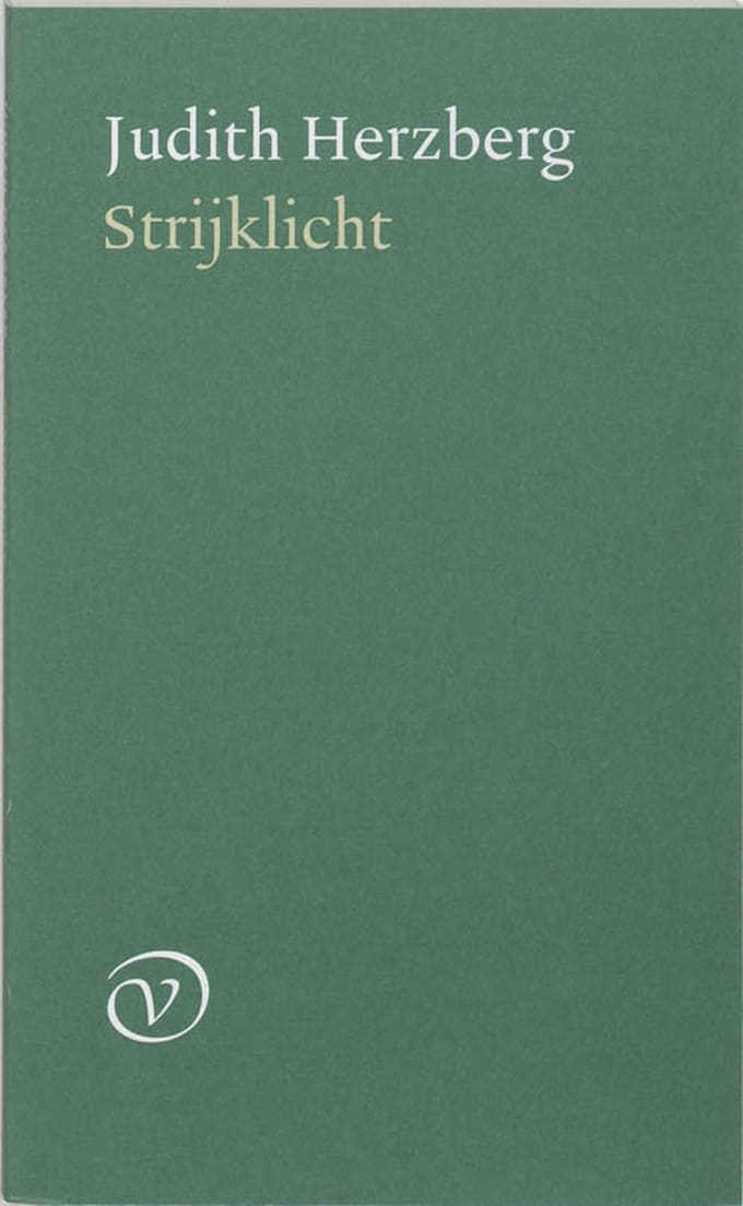 Strijklicht - Judith Herzberg