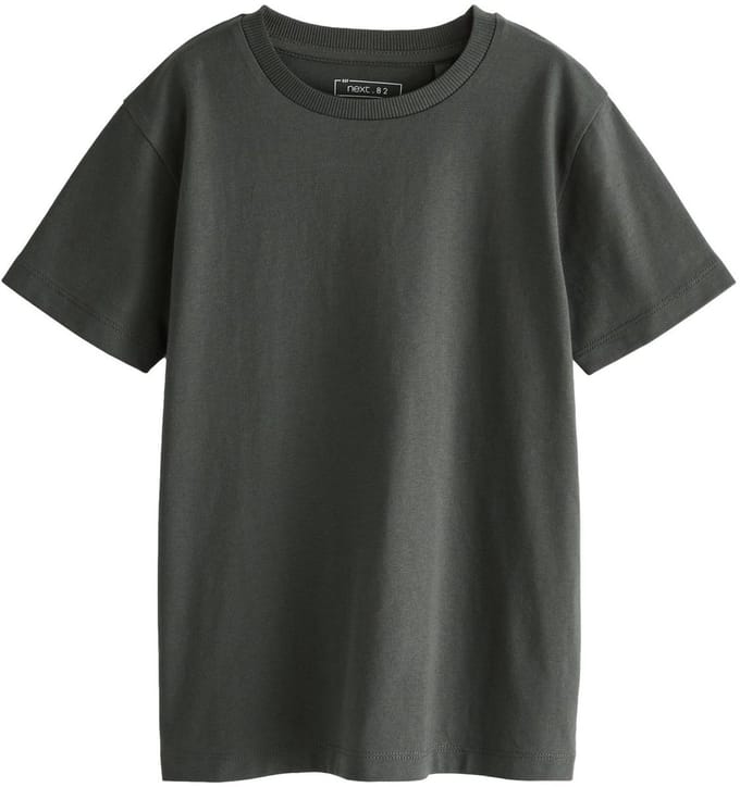 Next - Jongens - T-shirt met korte mouwen standaard pasvorm - Grijs