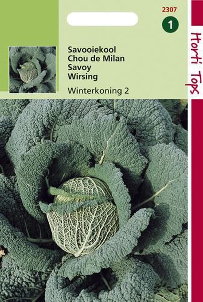 Hortitops Zaden - Savooiekool Winterkoning 3
