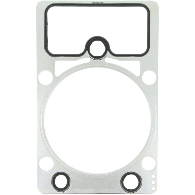 Pakking, cilinderkop REINZ 61-36485-20