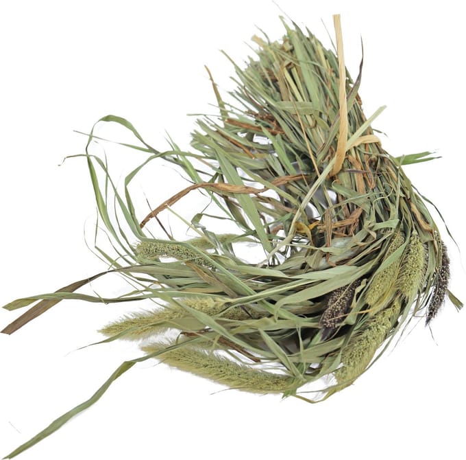 Jr Farm Senegal Gierst - Vogelvoer - 13x5x33 cm 50 g