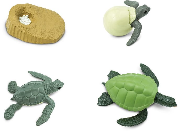 Speelset – De levenscyclus van een schildpad | 4 speelfiguurtjes - Educatief speelgoed