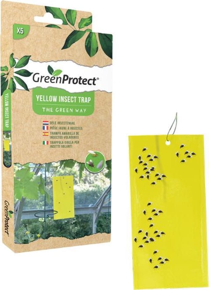 Green Protect Gele Insectenval 5-st
