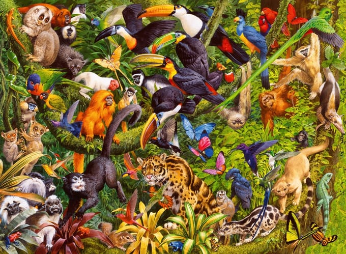 Ravensburger puzzel Bonte jungle - Legpuzzel - 200 XXL stukjes