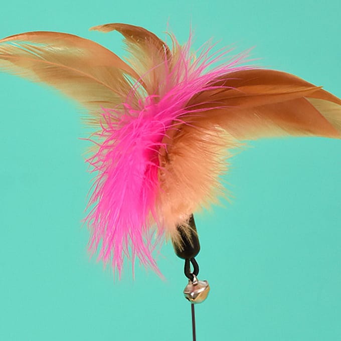 Katten Veer Halsband Speelgoed Verstelbaar Flexibel Grappig Interactief Katten Veer Staf Halsband met Bel voor roze