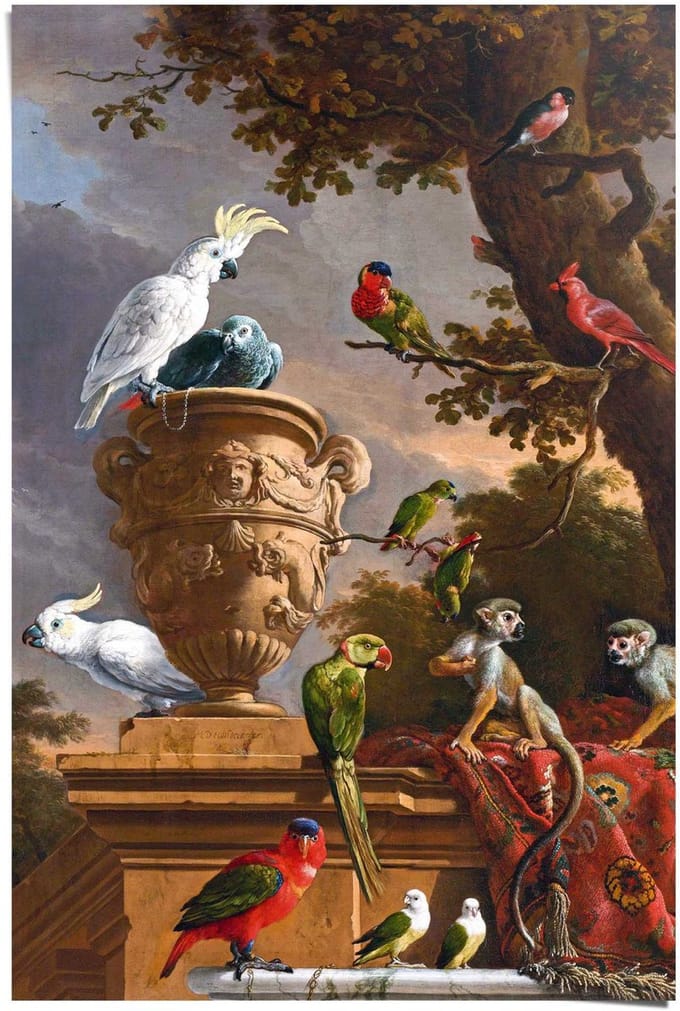 Poster d´Hondecoeter Melchior d´Hondecoeter - 91,5 x 61 - Papier - REINDERS