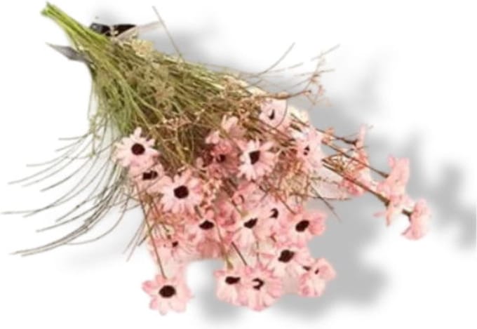Kunst Tak Rhodante Roze Buitengewoon de Boet