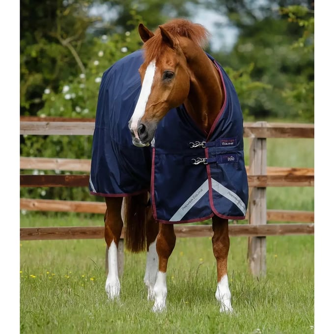 Outdoor paardendeken Premier Equine Titan 200 g Original