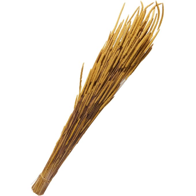 Gedroogde bloemen "Phleum Pratensis" - Geel