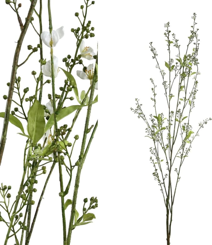 PTMD  leaves plant groen wit berry branch with