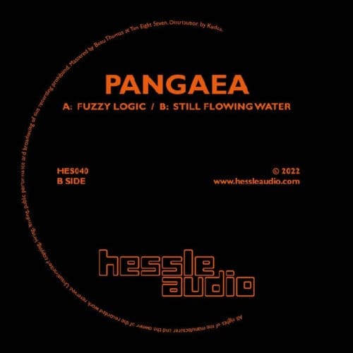 Fuzzy Logic / Still Flowing Water - Pangaea