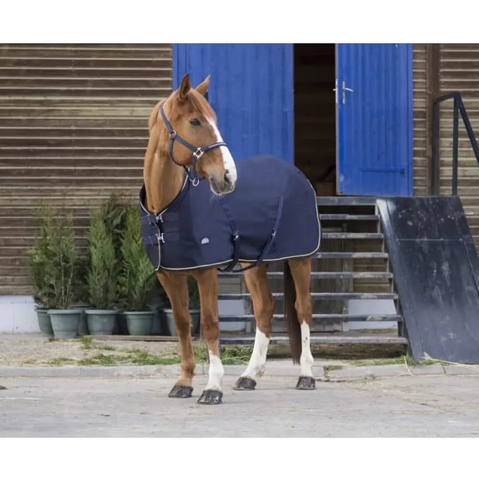 Paardenhemd Equithème Chic 0g