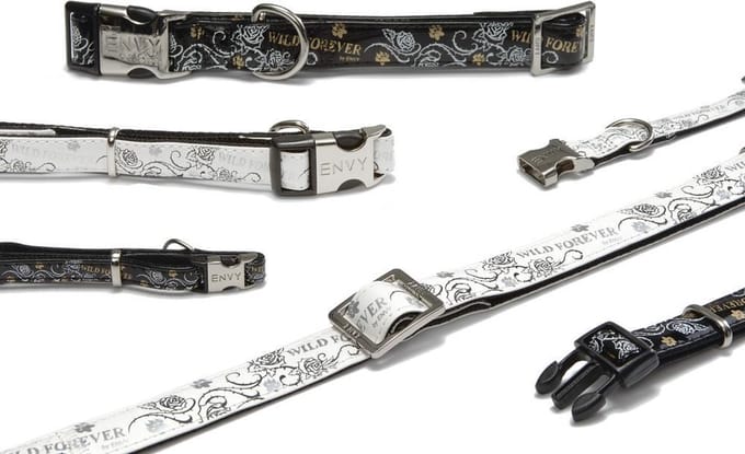 Beeztees Envy halsband hond Wild forever - Zwart - 48-70 cm