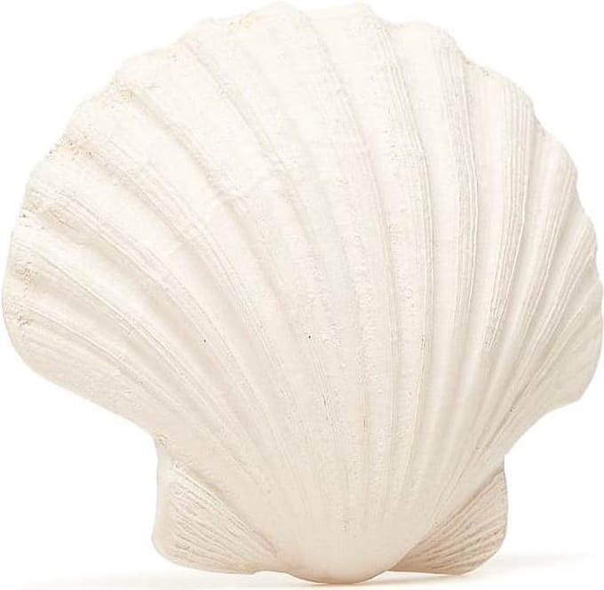 Lanco rubberen bijtspeeltje - Schelp - plat - wit