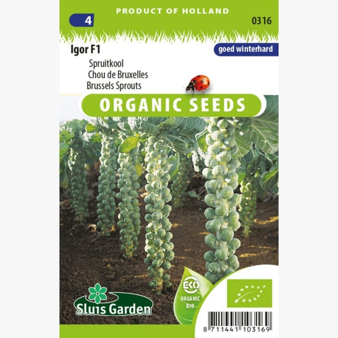 Sluis Garden - Spruitkool Igor F1 Biologisch