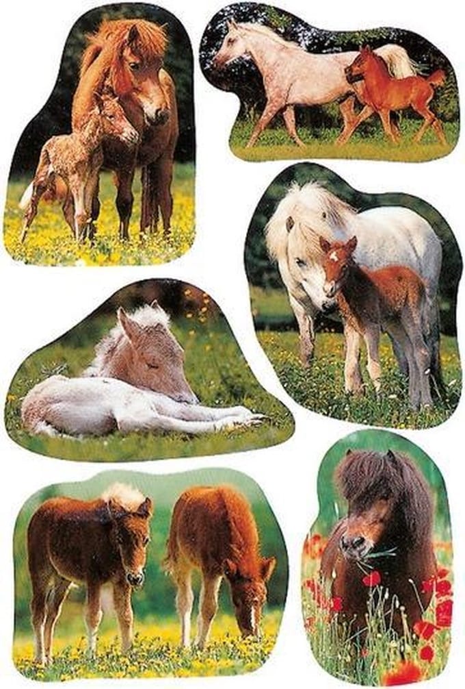 Haza Original Etiketten Paarden Junior 3 Vellen