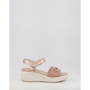 Sandalen met sleehak Imac CATERINA 758460