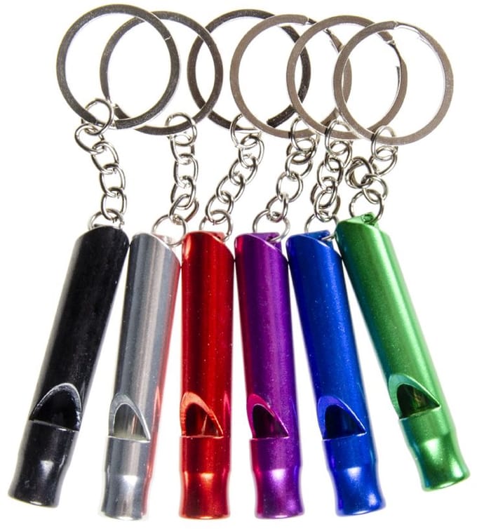 Duckiez Sleutelhanger Fluit Lang Metaal - 48 stuks
