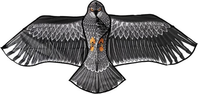 Vlieger Roofvogel 180x80cm