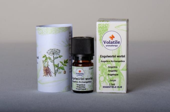 Volatile Engelwortel - 2.5 ml - Etherische Olie