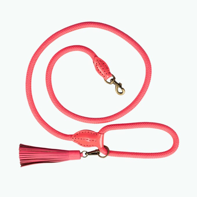 Classic Flamingo Hondenriem L (155 X 1,4 cm)