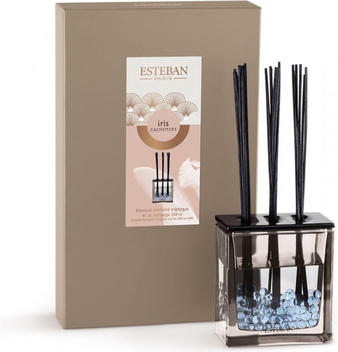 Esteban Classic Iris Cachemire Geurstokjes Triptyque 250ml