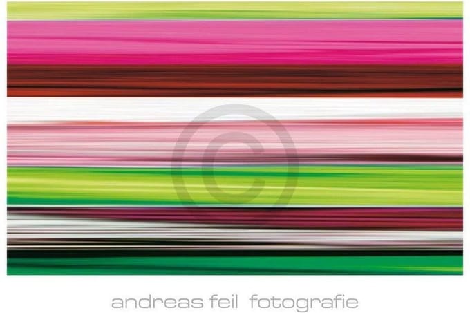 Kunstdruk Andreas Feil - Fotografie II 138x95cm