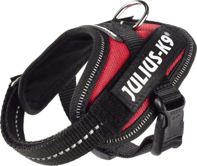Julius-K9 IDC Powertuig - 3XS - Baby1 - Rood