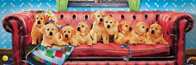 Eurographics puzzel Lounging Labs - 1000 stukjes panorama honden.